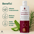 N. 2 Shampoo coadiuvante Anticaduta con Aloe Biologica e Rosmarino - Formula Delicata Senza SLES/SLS, 200 ml